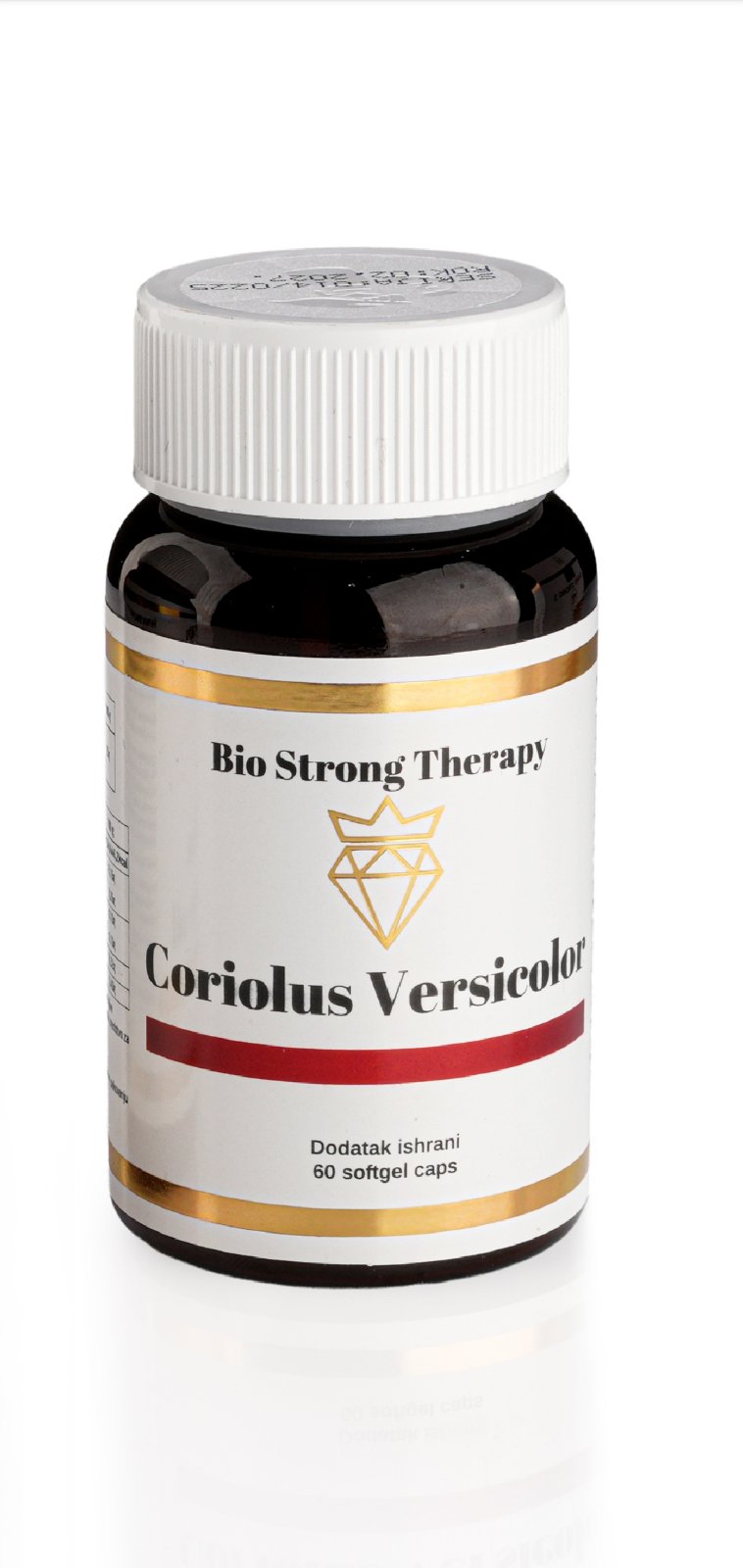 Coriolus versicolor